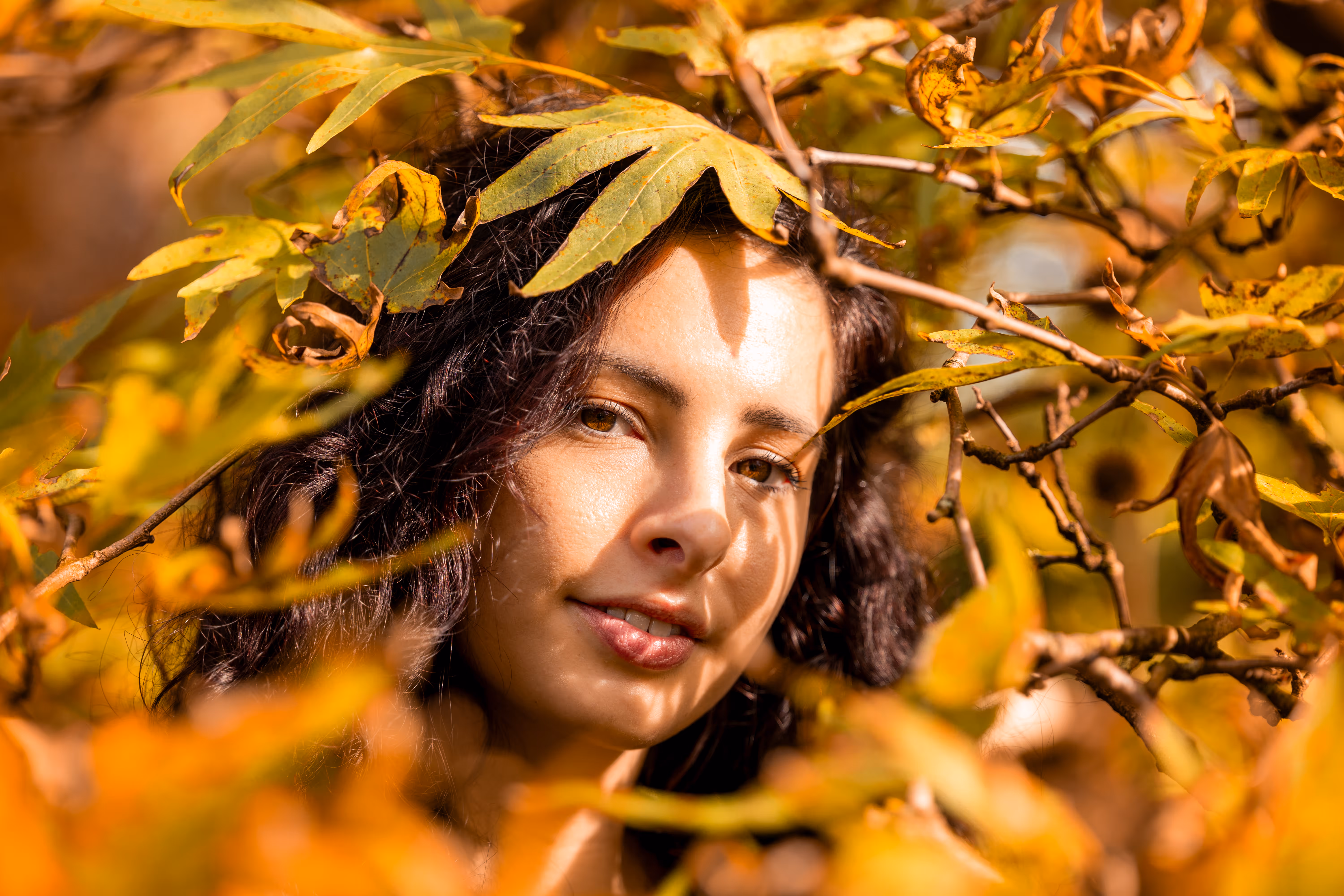 Herbst Shooting